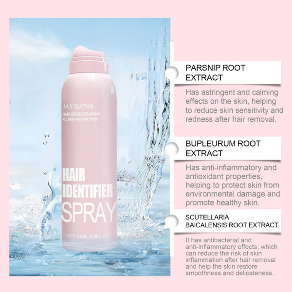 Visible Hair Spray - Image 3